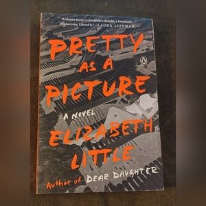 Book Pretty As  Picture by Elizabeth Little Paperback Read Summer Pool